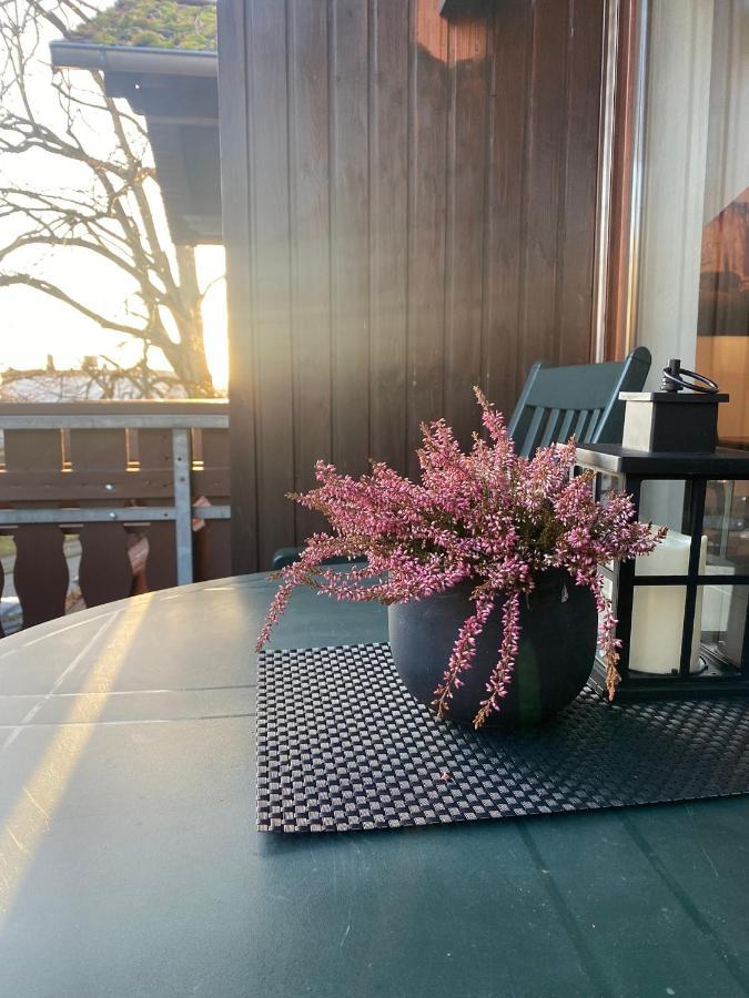 Apartment Am Park Bad Lauterberg Εξωτερικό φωτογραφία