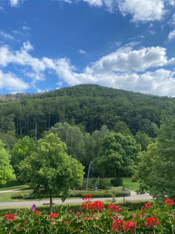 Apartment Am Park Bad Lauterberg Εξωτερικό φωτογραφία